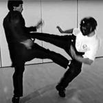 what makes wing chun unique is its commitment to low kicks as demonstrated here
