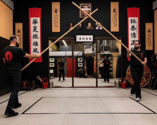 Wing Chun Long Pole